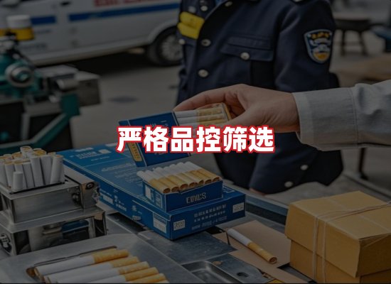 专业团队